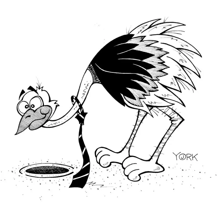 Ostrich Illustration by Jeff York, from the book "NOW WHAT? A Survivor's Guide for Thriving through Mergers and Acquisitions